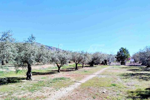Landejendom i Caudete, Albacete, Caudete - € 149.950 | Ref: SF0574 - foto 31